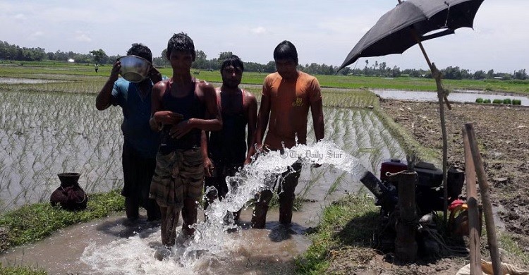 মৌসুমের সর্বোচ্চ তাপমাত্রা ঈশ্বরদীতে, কমলো ঢাকায়