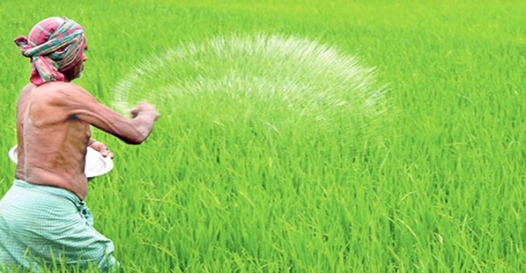 সরকার ৮০ হাজার টন টিএসপি ও পটাশ সার কিনবে