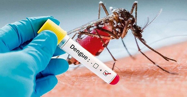 ডেঙ্গু আরও দুইজনের মৃত্যু, হাসপাতালে ৫০০