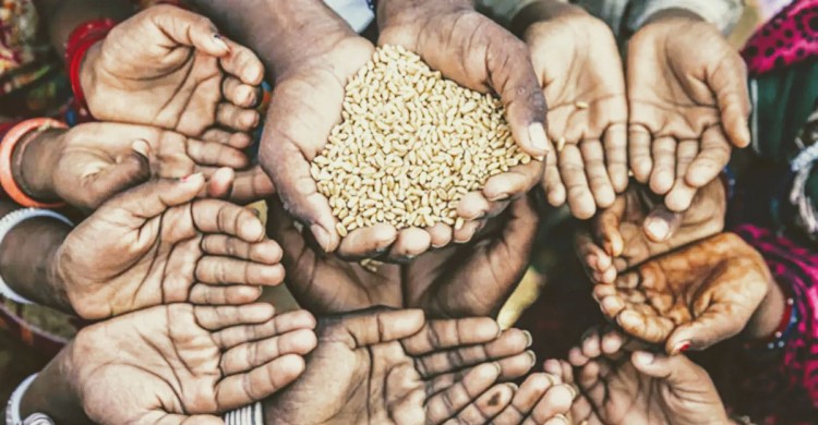 বিশ্বে তীব্র খাদ্যসংকটে সাড়ে ৭৩ কোটি মানুষ