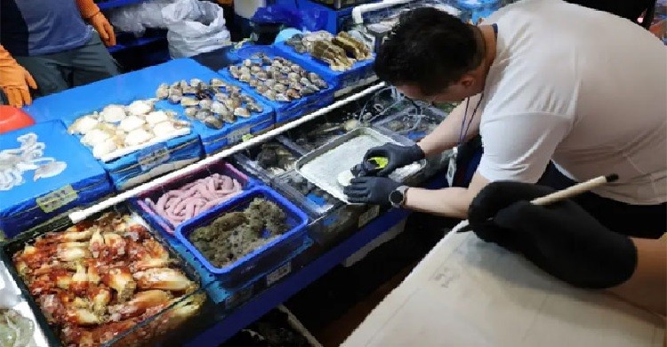 সামুদ্রিক খাবার আমদানির ব্যাপারে চীন-জাপান টানাপোড়েন