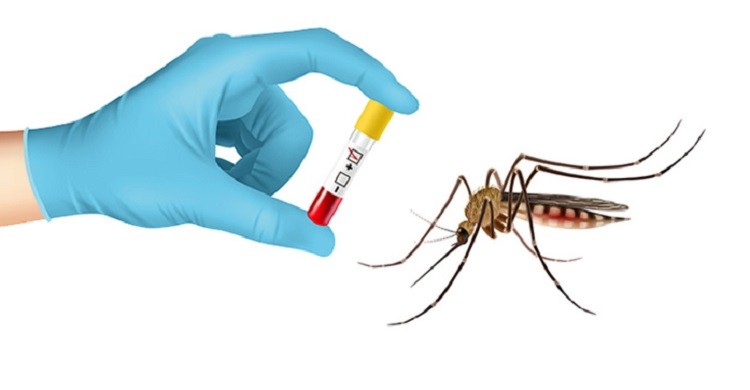 ডেঙ্গুতে মৃত্যু ৩শ ছাড়ালো