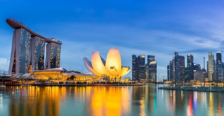 সিঙ্গাপুরে প্রেসিডেন্ট নির্বাচন হবে ১ সেপ্টেম্বরে