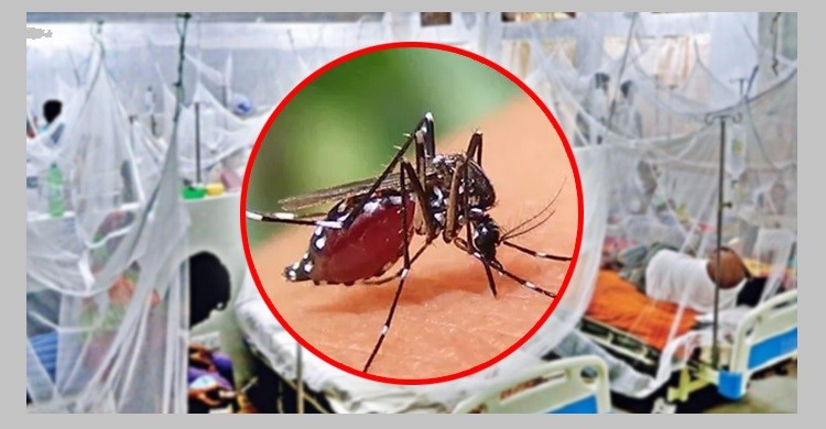 বাংলাদেশে ভয়াবহ ডেঙ্গু সংক্রমণ