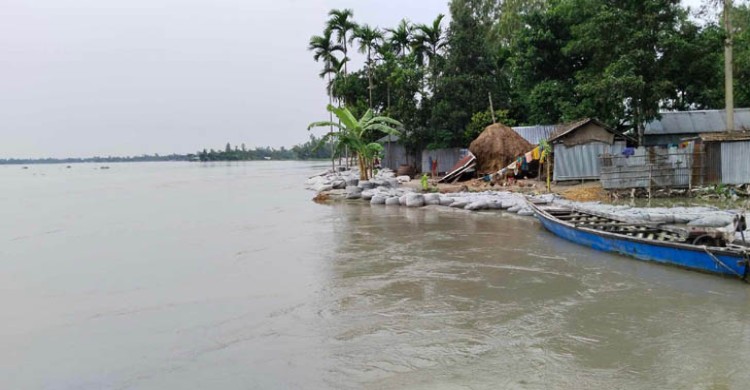 তিস্তার পানি বিপৎসীমার ৩০ সেমি ওপরে, দুই পাড়ে আতঙ্ক
