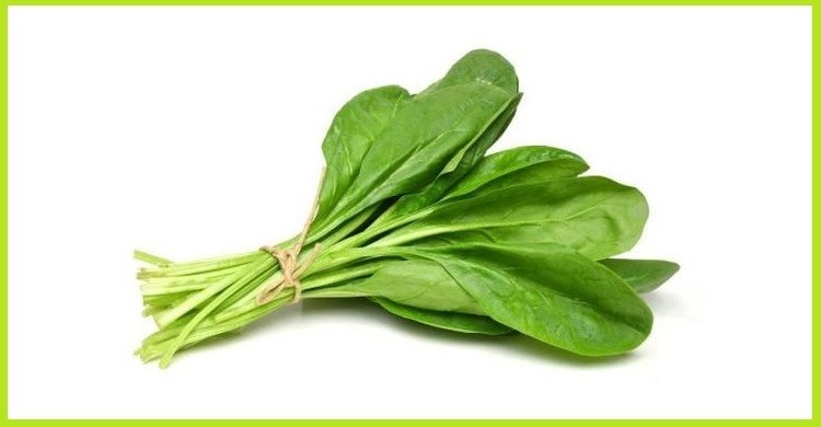 যে কারণে পালং শাক খাওয়া জরুরি