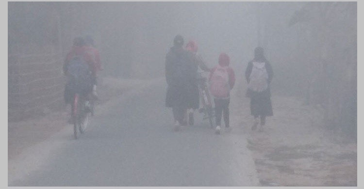 সর্বনিম্ন তাপমাত্রা তেঁতুলিয়ায়, ৭.৩ ডিগ্রি সেলসিয়াস