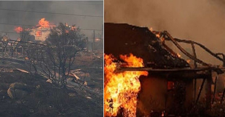 চিলিতে ভয়াবহ দাবানলে নিহত ৫১