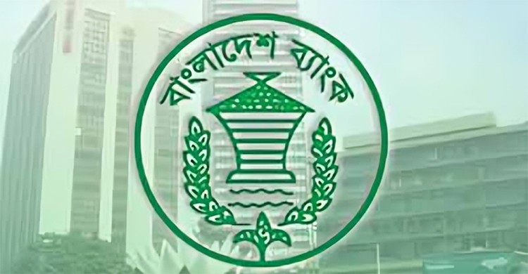 ‘ব্যাংক-কোম্পানি বহিঃনিরীক্ষণ বিধিমালা ২০২৪’ এর উপর বিশেষজ্ঞ মতামত