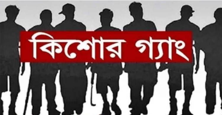 ঢাকার ১০ থানায় কিশোর গ্যাংয়ের তৎপরতা বেশি: ডিএমপি কমিশনার