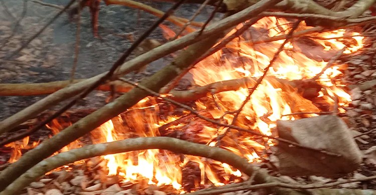 সুন্দরবনের আগুন নেভানোর কাজে ফায়ার সার্ভিসের ৫টি ইউনিট