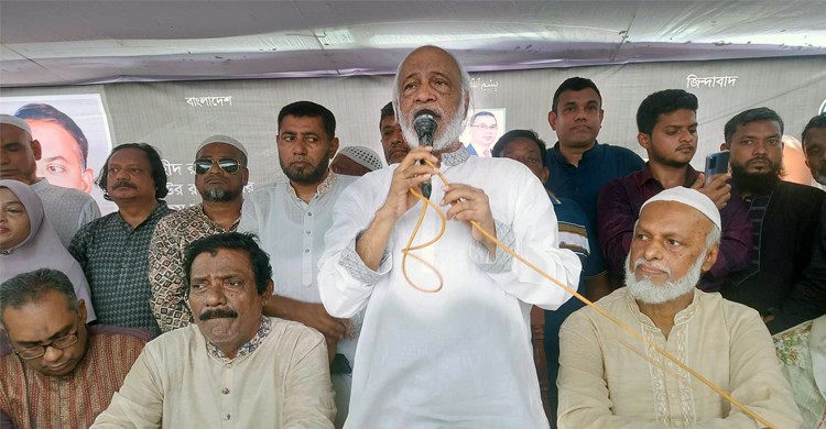 সরকার যাকে খুশি তাকে এমপি করে নিচ্ছে: মঈন খান