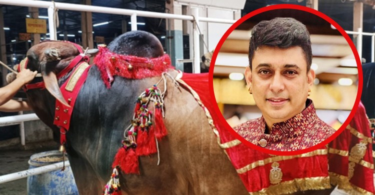 নিজের নামে গরুর নাম নিয়ে আমার কোন আপত্তি নেই : জায়েদ খান