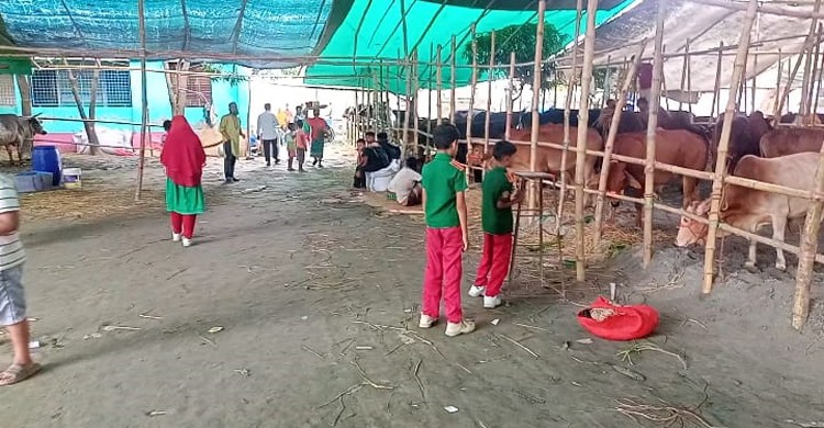 অনুমতি ব্যতীত মুক্তারপুর সরকারী প্রা: বিদ্যালয় মাঠ দখল করে কোরবানীর পশুর হাট