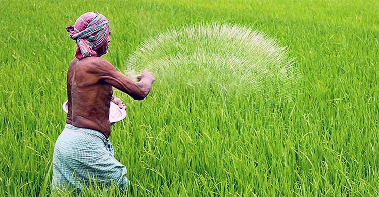 সৌদি ও রাশিয়া থেকে সাড়ে ৩০০ কোটি টাকার সার কিনবে সরকার