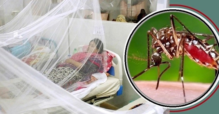 ডেঙ্গুতে মৃত্যু ৫, হাসপাতালে ভর্তি ৯২৭