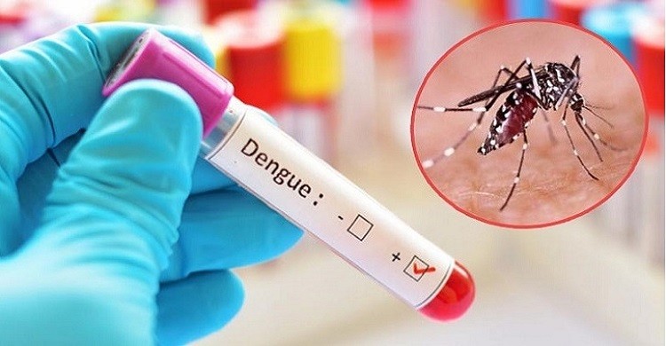 ডেঙ্গু: আরও ৫ জনের মৃত্যু, হাসপাতালে ৩৪৪