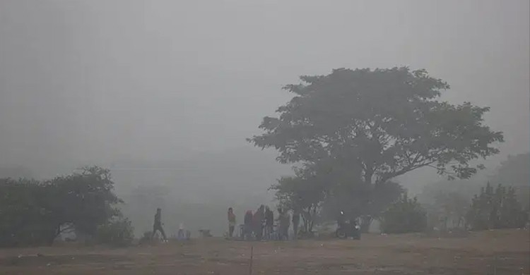 কুয়াশা কমার সম্ভাবনা কম, দেশের ৬ স্থানে শৈত্যপ্রবাহ