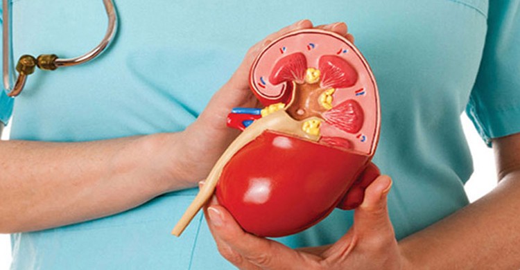 আজ বিশ্ব কিডনি দিবস