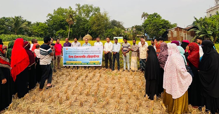 কাপাসিয়ায় বোরো ধান প্রদর্শনীর ‘ফিল্ড টেকনোলজি ওরিয়েন্টেশন’ অনুষ্ঠিত