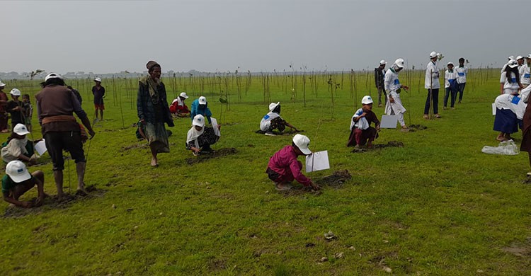 টাঙ্গুয়ার হাওরে ৫০ কোটি টাকার প্রকল্প
