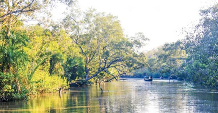 আজ থেকে তিন মাসের নিষেধাজ্ঞা সুন্দরবন প্রবেশে