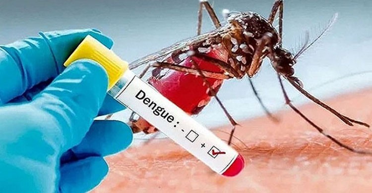 ডেঙ্গুতে একদিনে আক্রান্ত ৩৮৩, মৃত্যু ১ জন