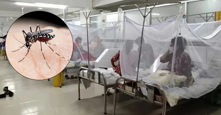 ডেঙ্গুতে আরও ৩ জনের মৃত্যু, ২৪ ঘণ্টায় হাসপাতালে ভর্তি ৩৩১ জন