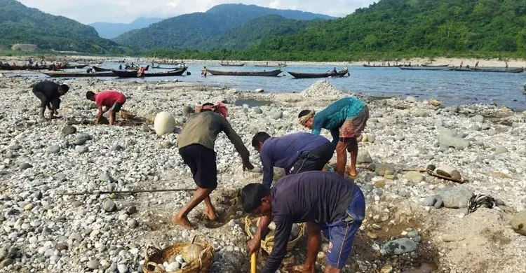 ভোলাগঞ্জে শত কোটি টাকার পাথর লুট: পাঁচজন আটক