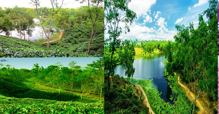 প্রকৃতির অপরূপ লীলাভূমি কমলগঞ্জের ‘মাধবপুর লেক’