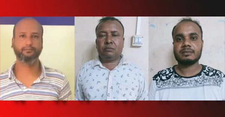 ছবিঃ সংগৃহীত