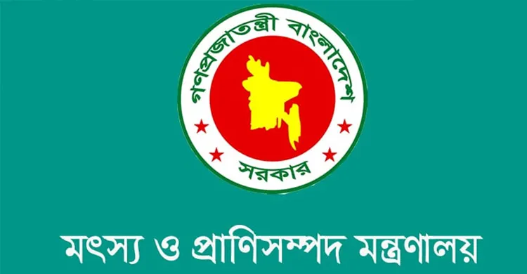 বাংলাদেশ মাংস উৎপাদনে স্বয়ংসম্পূর্ণ, বিদেশি আমদানির খবর ভিত্তিহীন