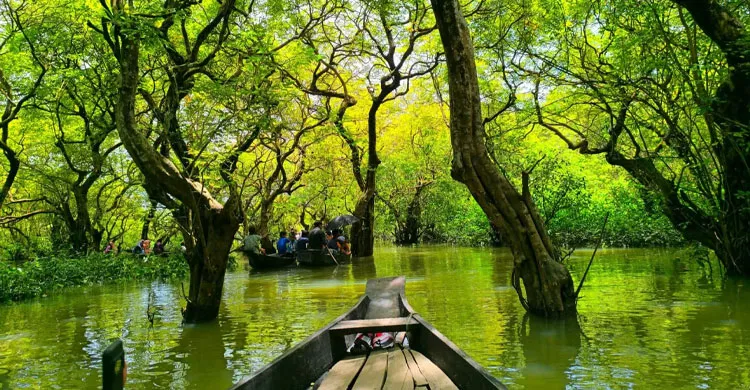 রাতারগুল বাঁচাতে ঐক্যবদ্ধ গ্রামবাসী