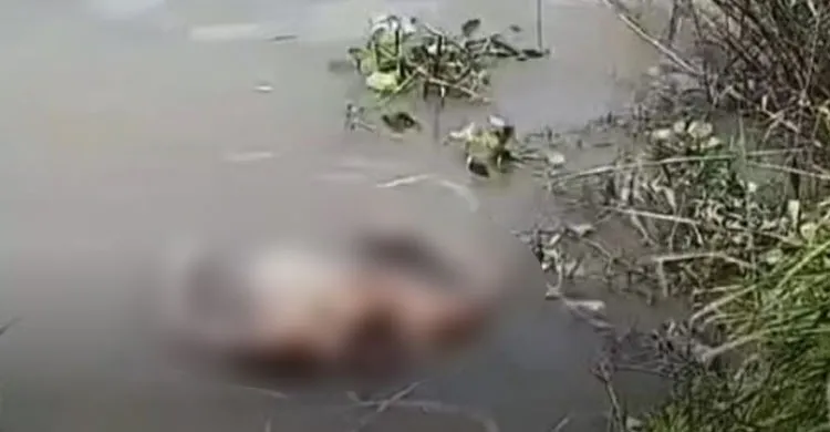 শীতলক্ষ্যা নদী থেকে মাথাবিহীন মরদেহ উদ্ধার করেছে কাঁচপুর নৌ পুলিশ ফাঁড়ি