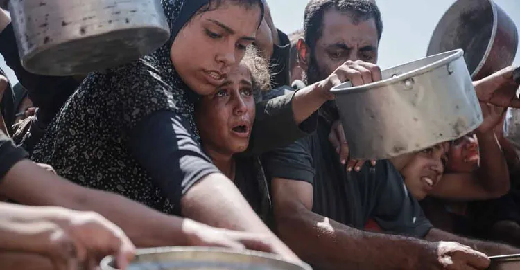 গাজায় দুর্ভিক্ষে আরও ১০ জনের মৃত্যু, ক্ষুধাজনিত কারণে মোট প্রাণহানি ৩১৩
