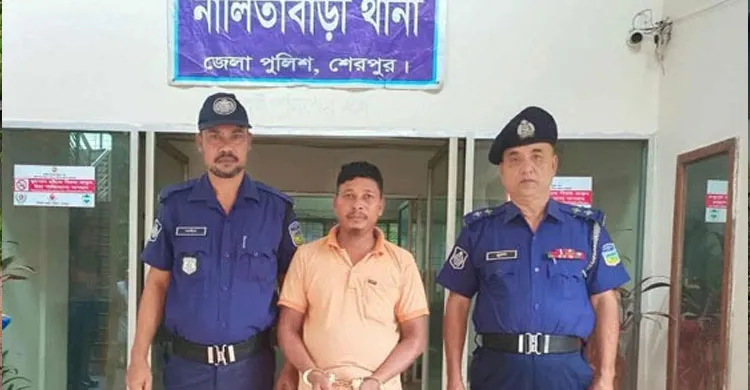 শেরপুরে শিক্ষার্থী মায়মুনা হত্যার রহস্য উদঘাটন, গ্রেপ্তার মূল আসামী আপন ফুফা