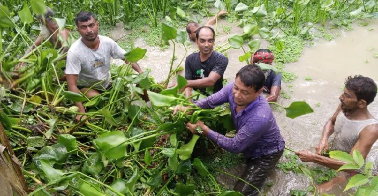 বাউফলে কৃষক দলের কেন্দ্রীয় নেতা লিটু’র নেতৃত্বে খালের কচুরিপানা পরিষ্কার