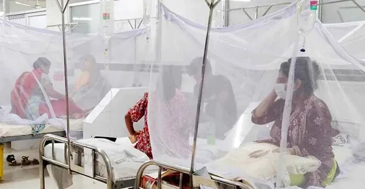 ২৪ ঘণ্টায় ডেঙ্গুতে মৃত্যু ৩, হাসপাতালে ভর্তি ৫৮০ জন