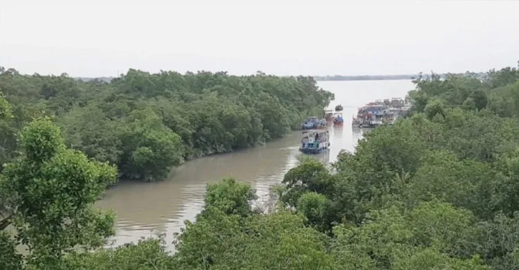 সুন্দরবনের অভয়ারণ্য থেকে ৪ জেলে আটক