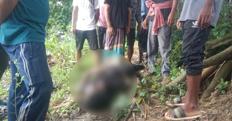 গোপালগঞ্জের কাশিয়ানীতে নিখোঁজ যুবকের মরদেহ উদ্ধার
