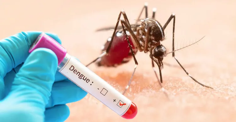 ডেঙ্গু রোগীদের জন্য বিশেষ ওয়ার্ড ও টিম গঠনের নির্দেশ স্বাস্থ্য অধিদপ্তরের