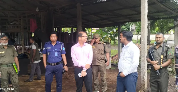 কাপাসিয়ায় করাত কলে ভ্রাম্যমাণ আদালতের জরিমানা