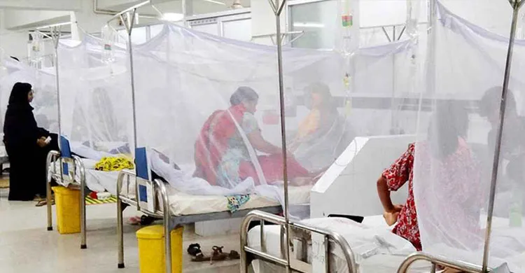 ডেঙ্গুতে আরও ৫ জনের মৃত্যু, একদিনে হাসপাতালে ভর্তি ৬২২ জন