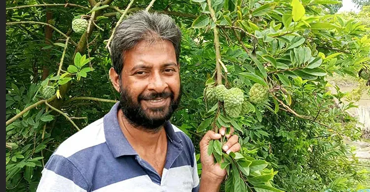 মেহেরপুরে শরিফা চাষে বাজিমাত