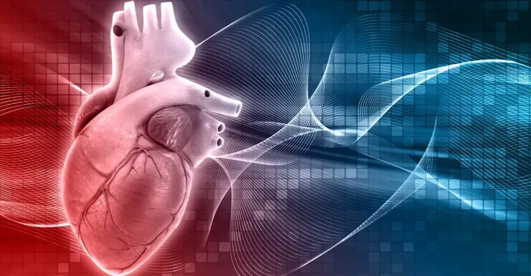 হার্ট অ্যাটাকের সতর্ক সংকেত: কোন ৫টি লক্ষণ অবহেলা করা যাবে না