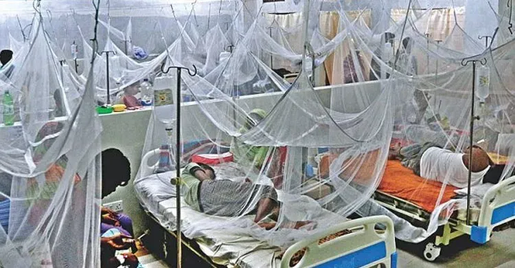 ডেঙ্গুতে আরও ২ জনের মৃত্যু, মোট প্রাণহানি ১৮১