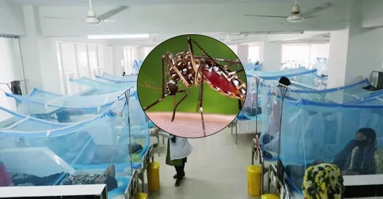 সেপ্টেম্বরে ডেঙ্গুতে সর্বোচ্চ মৃত্যু, এক মাসেই প্রাণ গেছে ৭৬ জনের