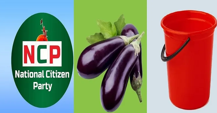 এনসিপিকে বেগুন-বালতিসহ ৫০ প্রতীকের অপশন