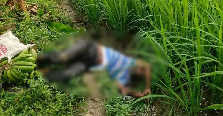 পাবনার ঈশ্বরদীর ধানক্ষেত থেকে এক ব্যক্তির মরদেহ উদ্ধার