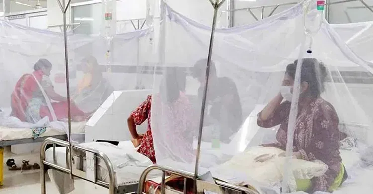 ডেঙ্গুতে আরও তিনজনের মৃত্যু, হাসপাতালে ভর্তি ৭৮২ জন
